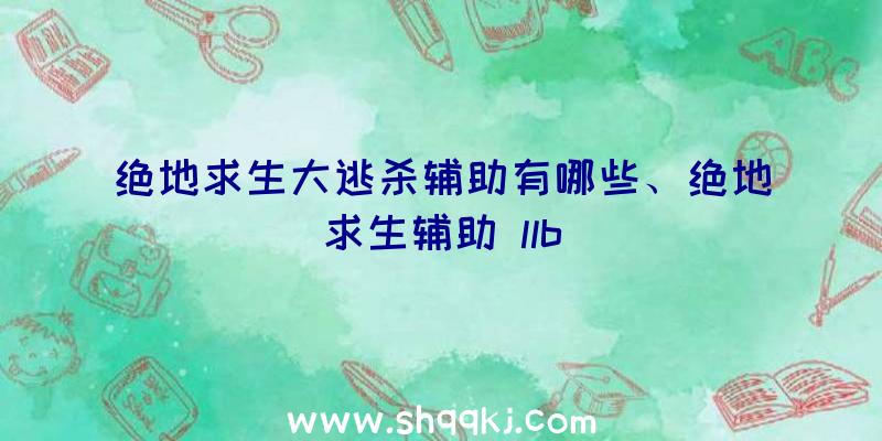 绝地求生大逃杀辅助有哪些、绝地求生辅助